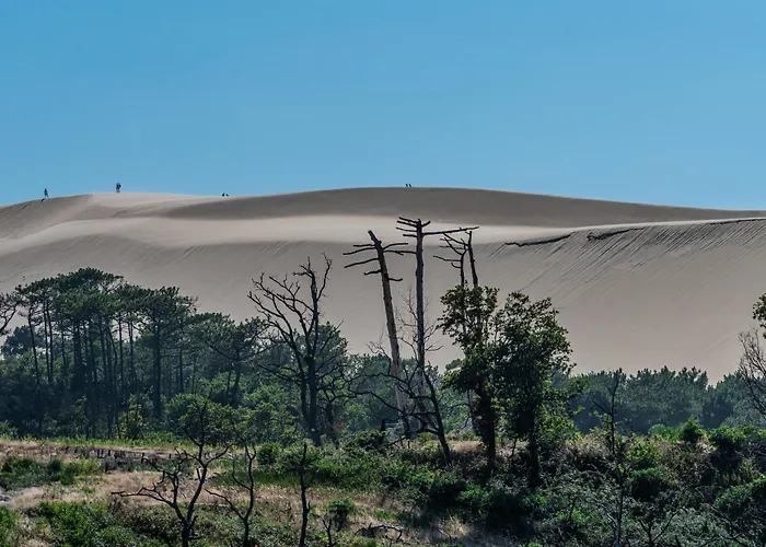La Dorée Du Bassin Bed and breakfast