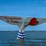 La Doree Du Bassin