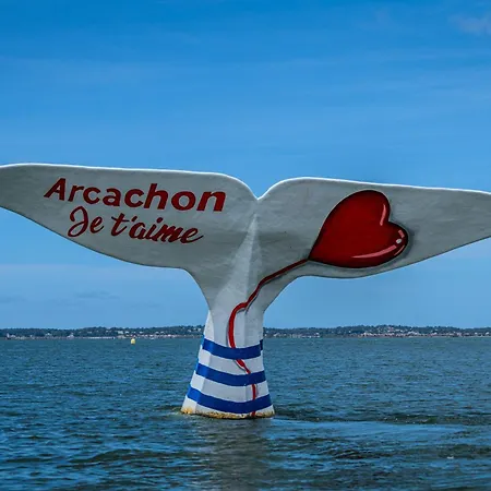 La Doree Du Bassin